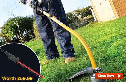 Ryobi 26cc Petrol Bent Shaft Line Trimmer Ryobi 26cc Petrol Bent Shaft Line Trimmer