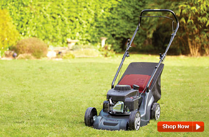 Mountfield Push Rotary Petrol Lawn Mower Mountfield Push Rotary Petrol Lawn Mower