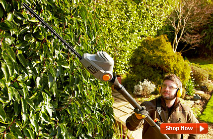 Titan 400W Electric Pole Hedge Trimmer Titan 400W Electric Pole Hedge Trimmer
