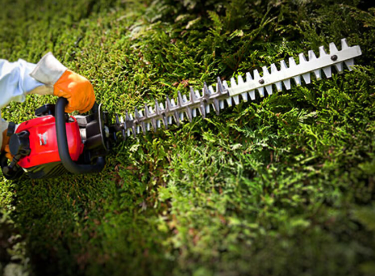 Mountfield Hedge Trimmers