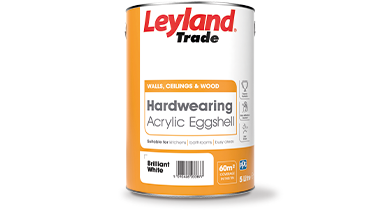 Leyland Egg Shell Paint