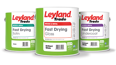 Leyland Fast Drying Paint